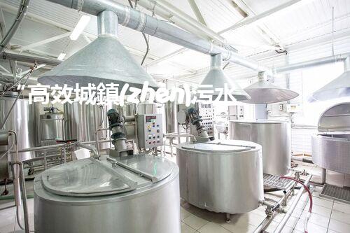 “高效城鎮(zhèn)污水處理流程，守護(hù)碧水藍(lán)天新篇章”